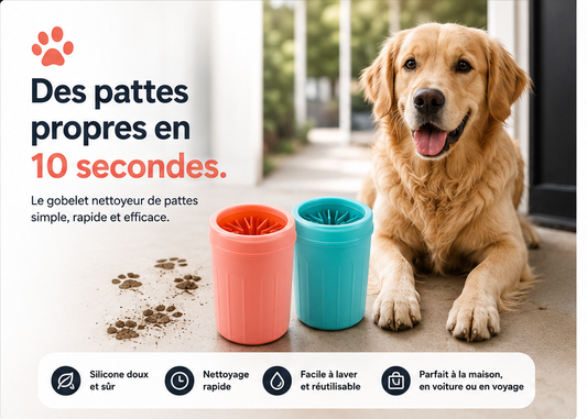 Patou — Le nettoyeur de pattes en 10 secondes