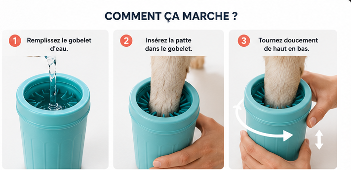 Patou — Le nettoyeur de pattes en 10 secondes