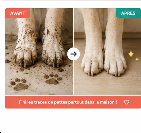 Patou — Le nettoyeur de pattes en 10 secondes